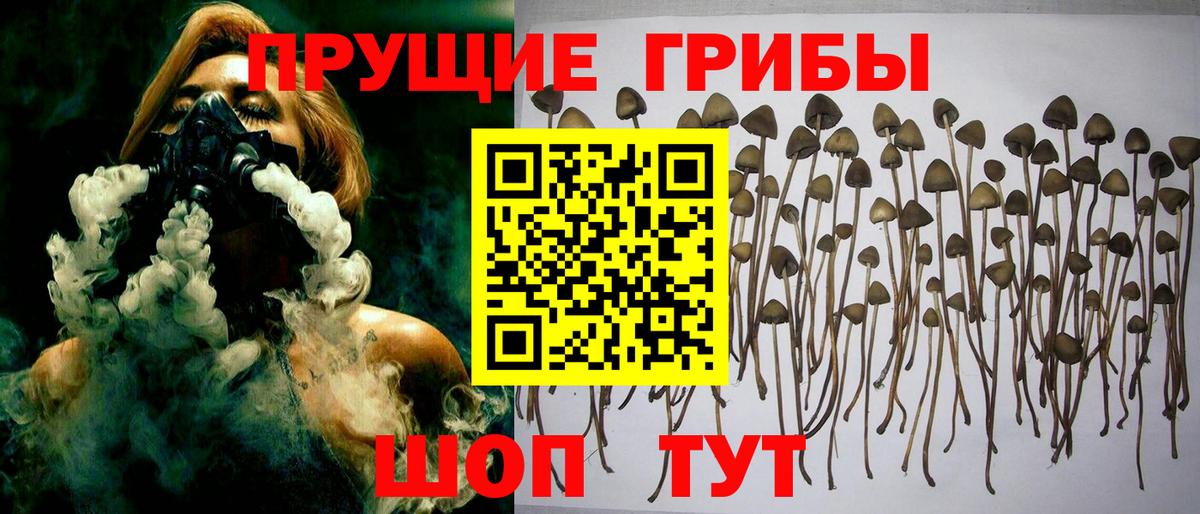 Галлюциногенные грибы мухоморы Новороссийск