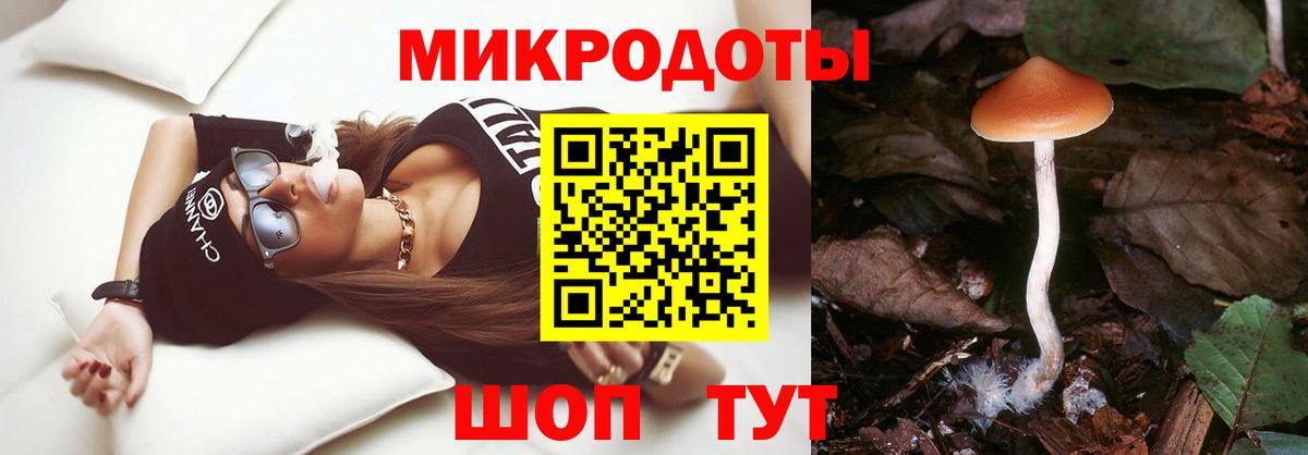 Псилоцибиновые грибы мицелий  Вход с VPN  Новороссийск 